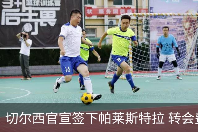 切尔西官宣签下帕莱斯特拉 转会费超5500万欧签约7年