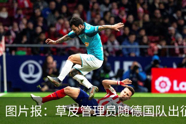 图片报：草皮管理员随德国队出征世界杯，负责训练营草皮养护