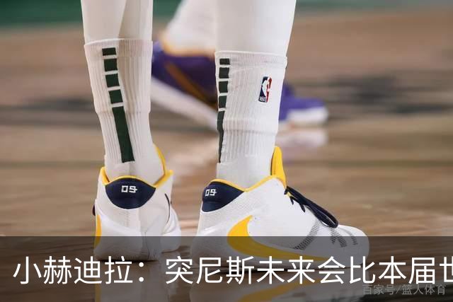 小赫迪拉：突尼斯未来会比本届世界杯更好 批评？我已经付出全力