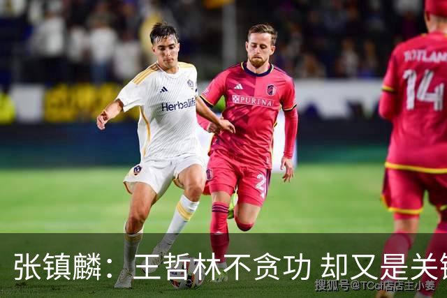 张镇麟：王哲林不贪功 却又是关键时刻能站出来的人 队长当之无愧
