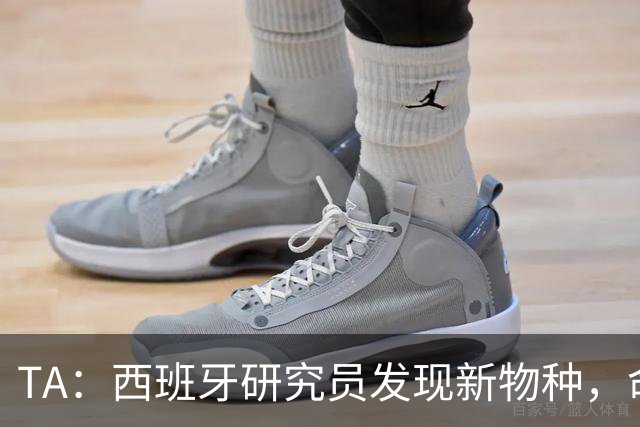 TA：西班牙研究员发现新物种，命名为“沃齐尼亚的海蛞蝓”